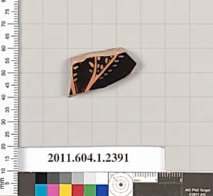 Terracotta fragment of a kylix (drinking cup)