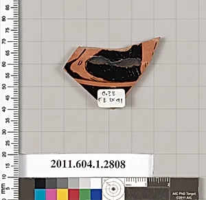 Terracotta fragment of a kylix (drinking cup)
