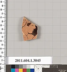 Terracotta fragment of a kylix (drinking cup)
