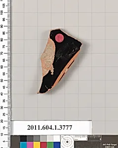 Terracotta fragment of a kylix (drinking cup)