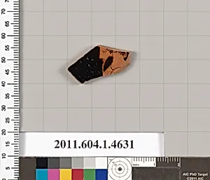 Terracotta fragment of a kylix (drinking cup)