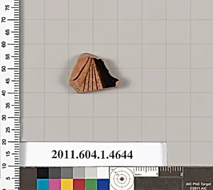Terracotta fragment of a kylix (drinking cup)