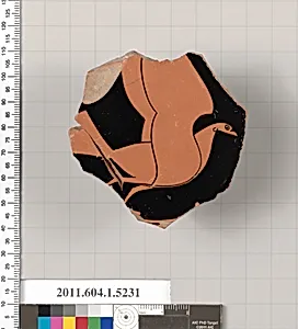 Terracotta fragment of a kylix (drinking cup) by Unknown Artist
