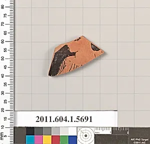 Terracotta fragment of a kylix (drinking cup) by Unknown Artist