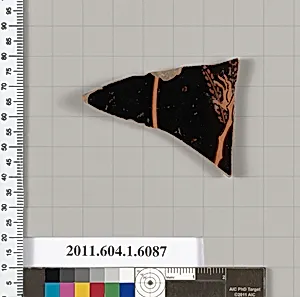 Terracotta fragment of a kylix (drinking cup) by Unknown Artist