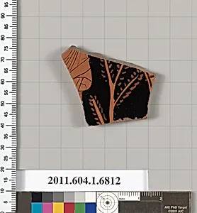 Terracotta fragment of a kylix (drinking cup)