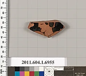 Terracotta fragment of a kylix (drinking cup) by Unknown Artist