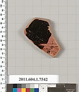 Terracotta fragment of a kylix (drinking cup) by Euaion Painter