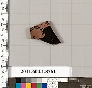 Terracotta fragment of a kylix (drinking cup) by Unknown Artist