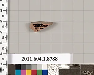 Terracotta fragment of a kylix (drinking cup)