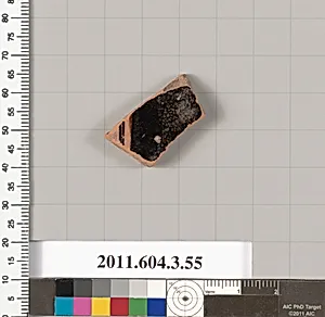 Terracotta fragment of an amphora (jar)?