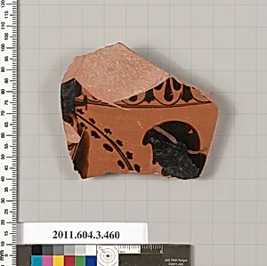 Terracotta fragment of an amphora (jar) by Unknown Artist