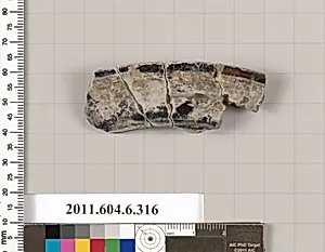 Terracotta fragment of an undetermined shape by Unknown Artist
