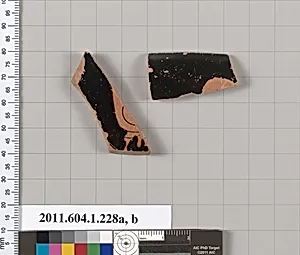 Terracotta fragments of a kylix (drinking cup)