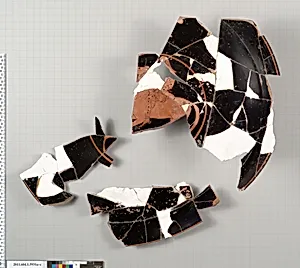 Terracotta fragments of a kylix (drinking cup)
