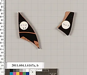 Terracotta fragments of a kylix (drinking cup)