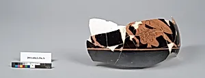 Terracotta fragments of a psykter (vase for cooling wine) by Unknown Artist