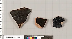 Terracotta fragments of column-kraters (bowls for mixing wine and water)?
