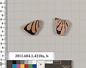 Terracotta fragments of kylikes (drinking cups)