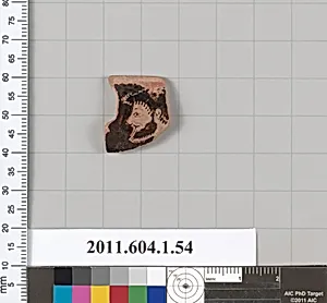 Terracotta rim fragment of a kylix (drinking cup)