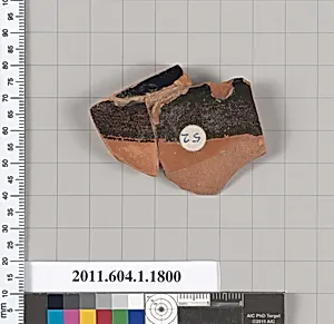 Terracotta rim fragment of a kylix (drinking cup)