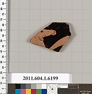 Terracotta rim fragment of a kylix (drinking cup)