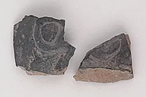 Vase fragment by Unknown Artist