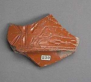 Vase fragment
