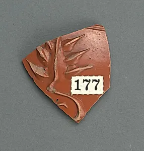 Vase fragment