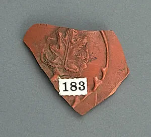 Vase fragment