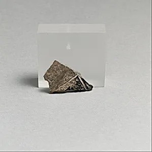 Vase fragments by Unknown Artist