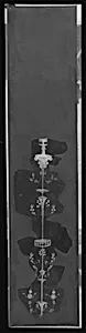 Wall painting on white ground: fragment with candelabrum, from the imperial villa at Boscotrecase