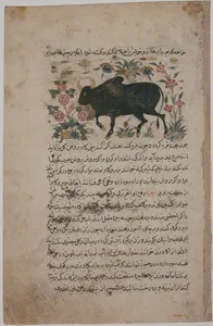 "A Bull", Folio from a Dispersed Nuzhatnama-i ‘Ala’i of Shahmardan ibn Abi’l Khayr