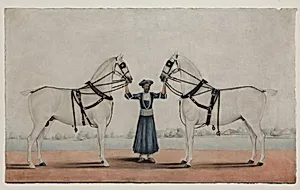 A Syce (Groom) Holding Two Carriage Horses by Shaikh Muhammad Amir of Karraya