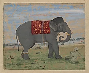 An Elephant and Keeper