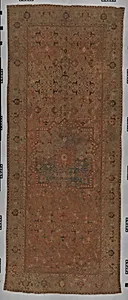 Carpet