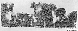 Carpet Fragment