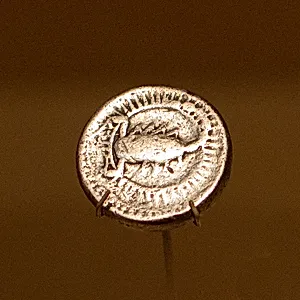 Coin