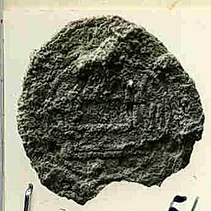 Coin by Unknown Artist