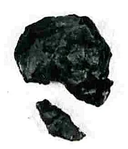 Coin by Unknown Artist