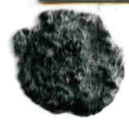 Coin by Unknown Artist