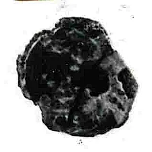 Coin by Unknown Artist