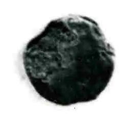 Coin by Unknown Artist