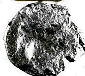 Coin by Unknown Artist