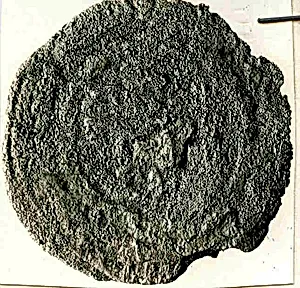 Coin by Unknown Artist