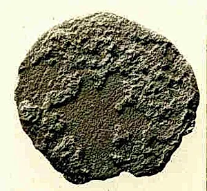 Coin by Unknown Artist