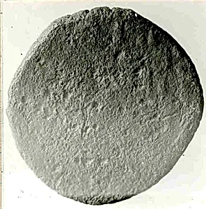 Coin by Unknown Artist