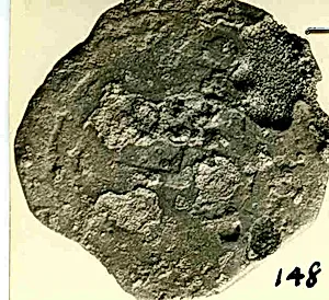 Coin by Unknown Artist