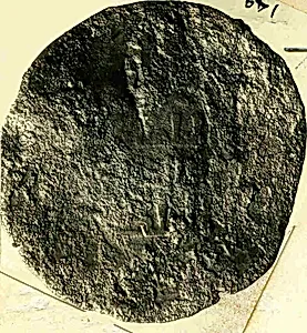 Coin