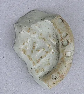Coin Weight
